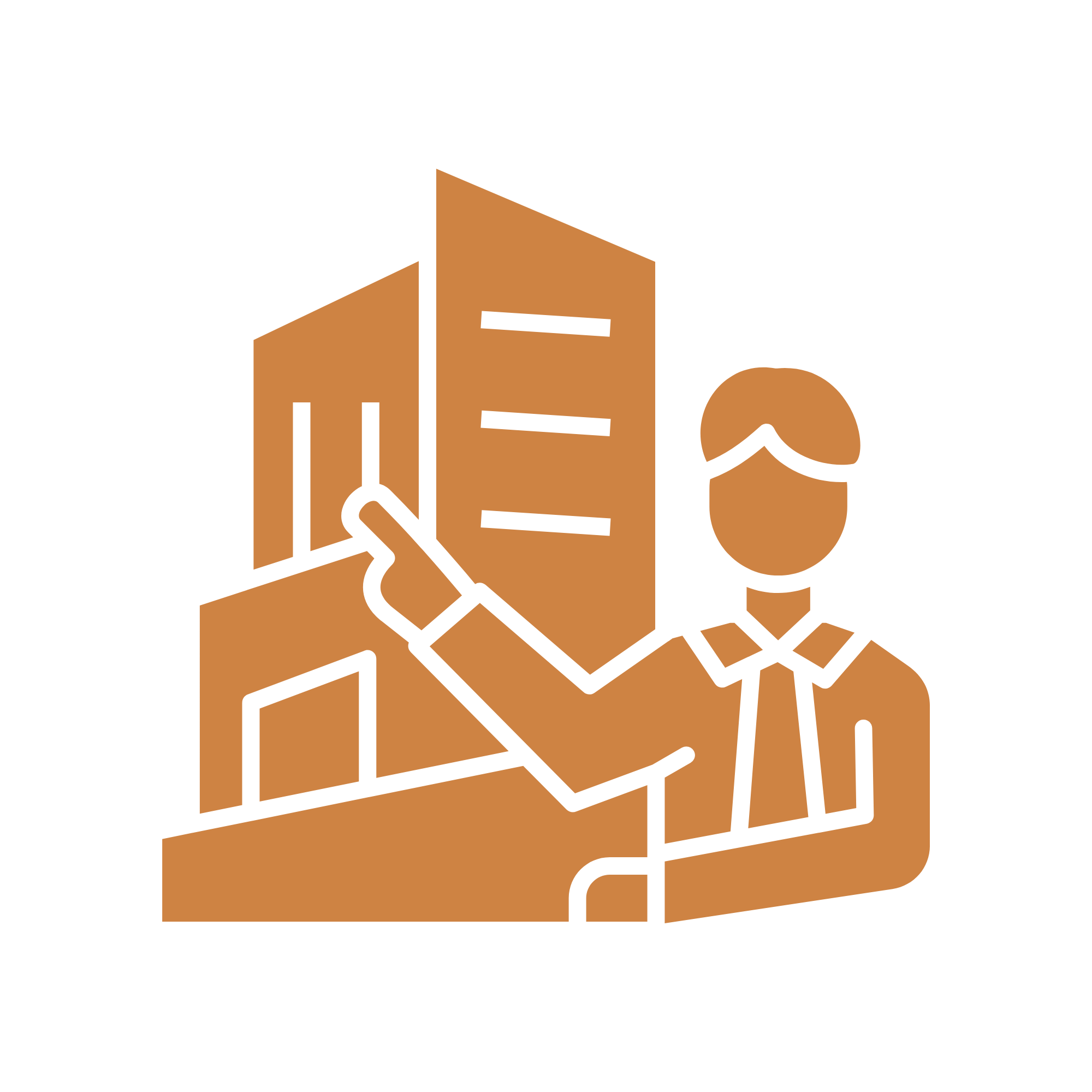 Introduction-to-Institutional-Work